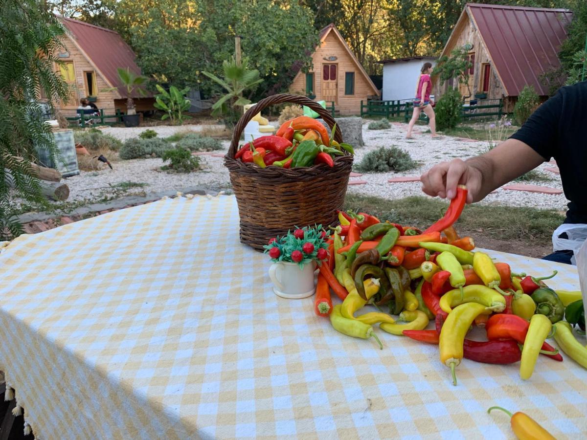 Pusula Bungalow Otel Kayakoy Zewnętrze zdjęcie